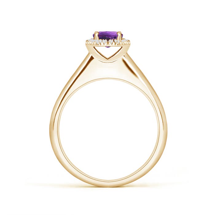 AAA - Amethyst / 0.53 CT / 14 KT Yellow Gold