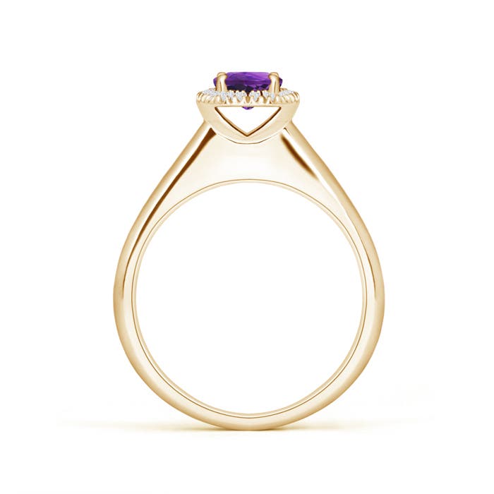 AAAA - Amethyst / 0.53 CT / 14 KT Yellow Gold