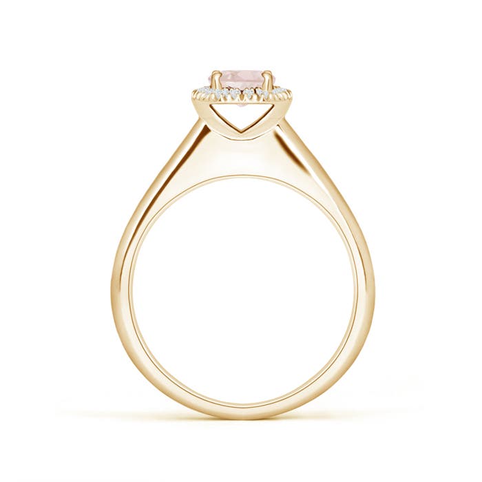 A - Morganite / 0.5 CT / 14 KT Yellow Gold