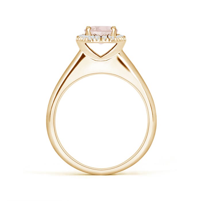 A - Morganite / 0.8 CT / 14 KT Yellow Gold