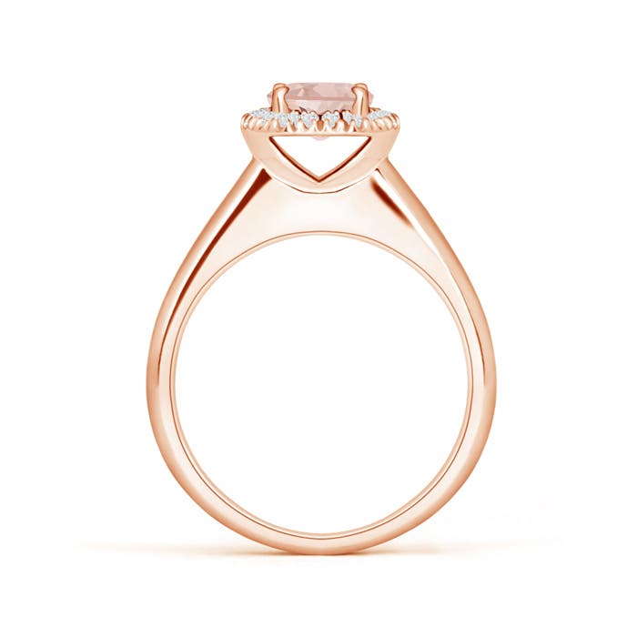 AAA - Morganite / 0.8 CT / 14 KT Rose Gold