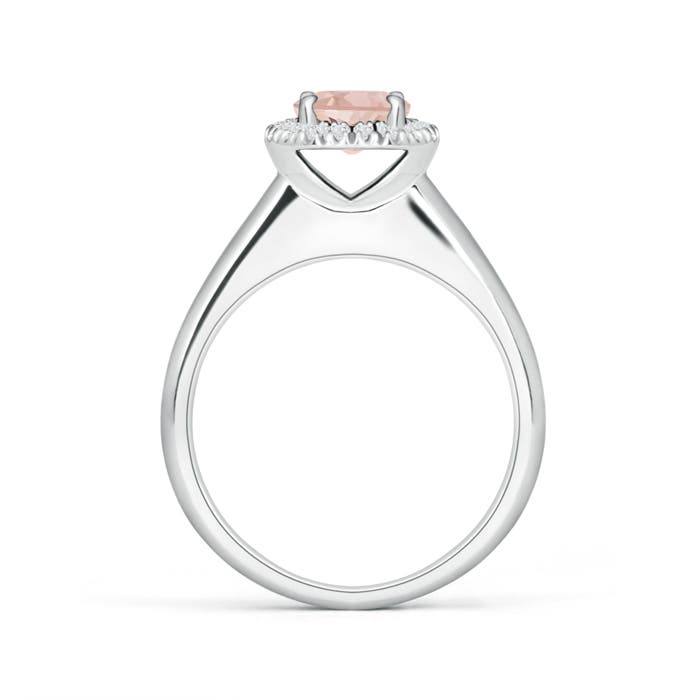 AAA - Morganite / 0.8 CT / 14 KT White Gold