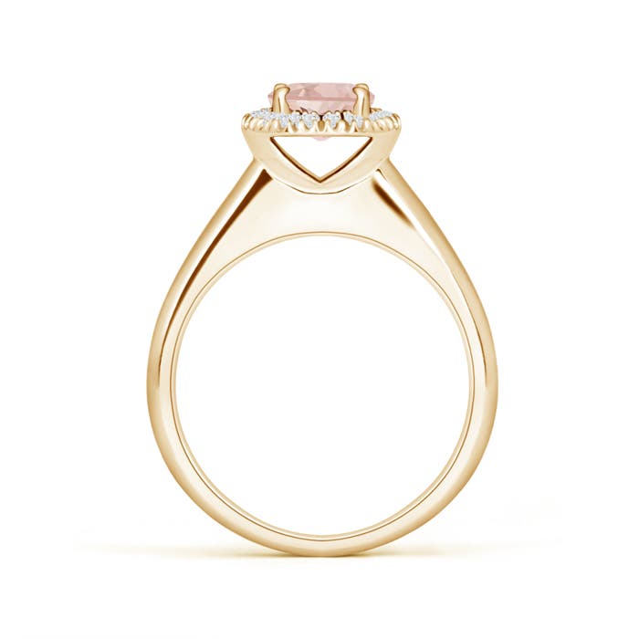 AAA - Morganite / 0.8 CT / 14 KT Yellow Gold