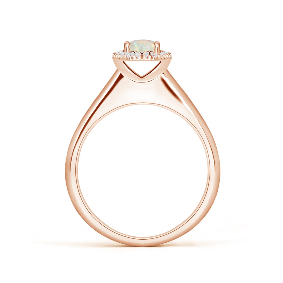 5mm AAA Classic Round Opal and Diamond Halo Ring in 18K Rose Gold side 199