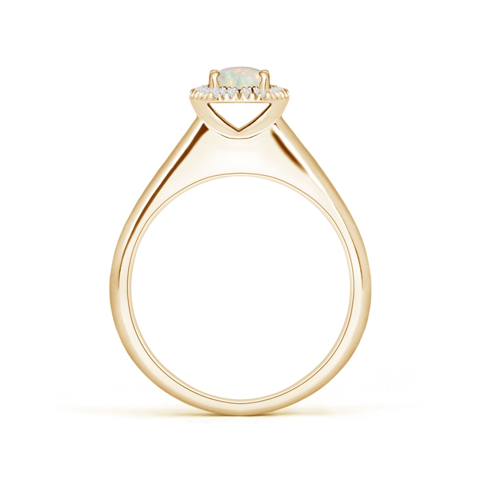 5mm AAA Classic Round Opal and Diamond Halo Ring in 18K Yellow Gold side 199