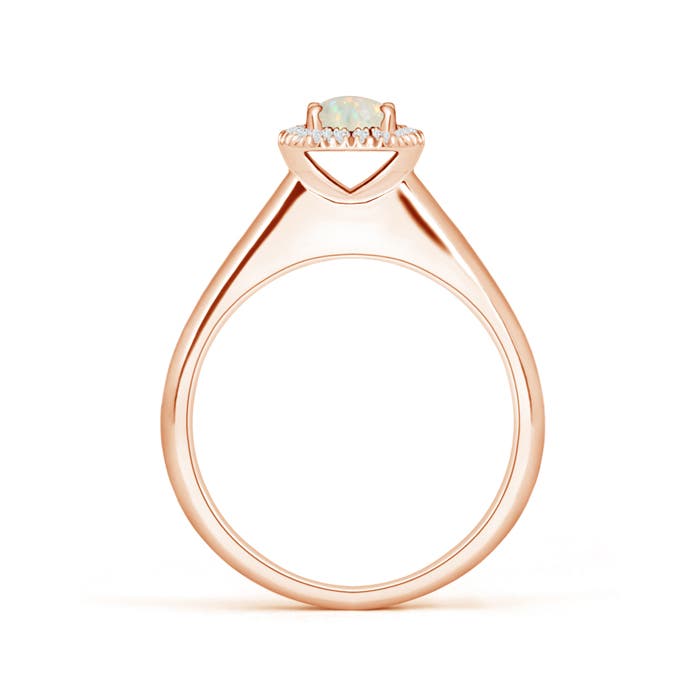 AAA - Opal / 0.41 CT / 14 KT Rose Gold