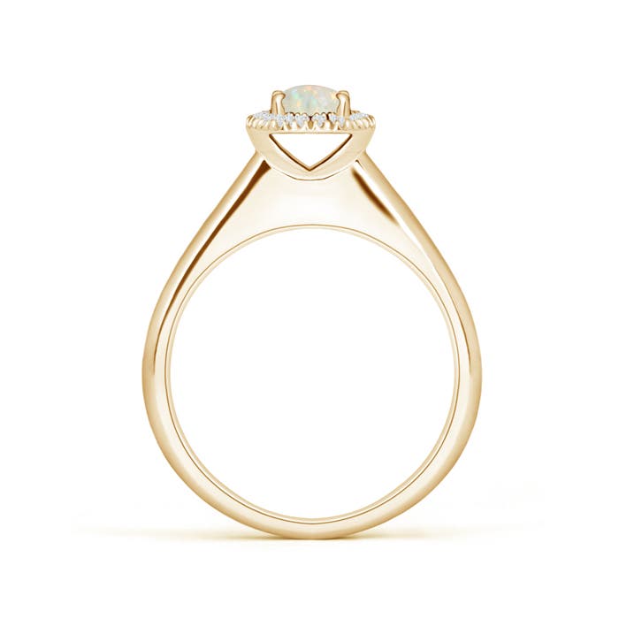 AAA - Opal / 0.41 CT / 14 KT Yellow Gold