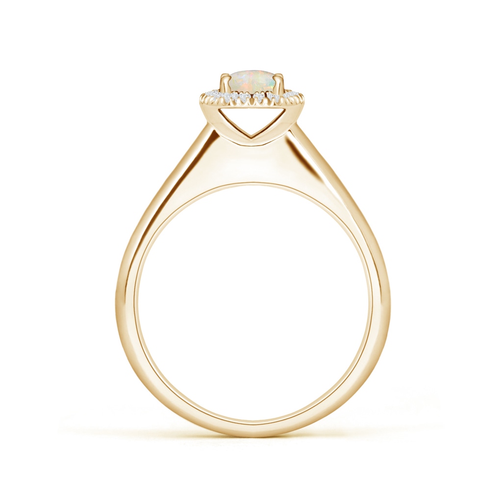 5mm AAAA Classic Round Opal and Diamond Halo Ring in Yellow Gold - side 199