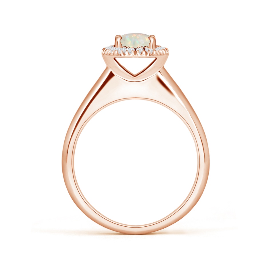 6mm AAA Classic Round Opal and Diamond Halo Ring in 18K Rose Gold side 199