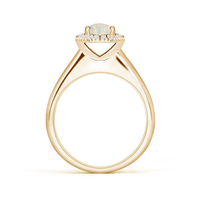 AAA - Opal / 0.6 CT / 14 KT Yellow Gold