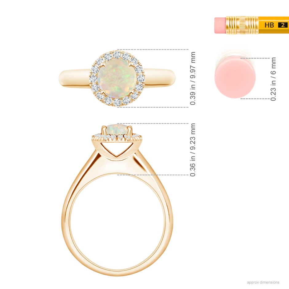 6mm AAA Classic Round Opal and Diamond Halo Ring in Yellow Gold ruler