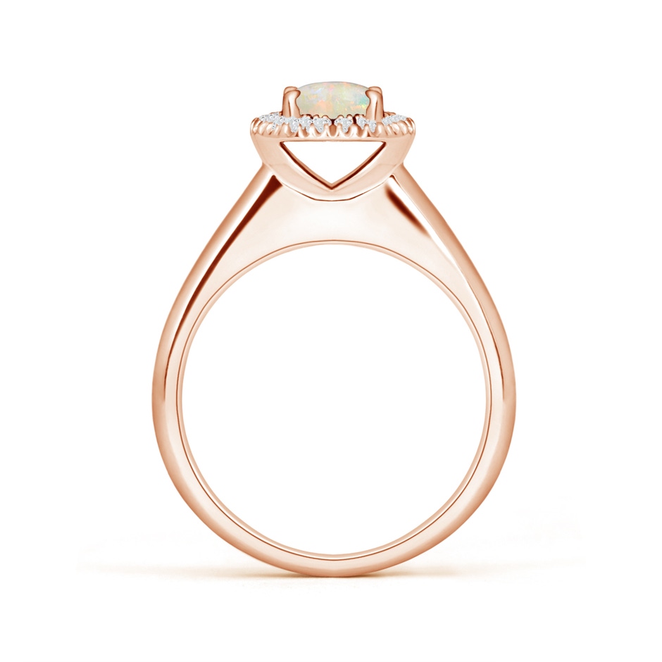 6mm AAAA Classic Round Opal and Diamond Halo Ring in 18K Rose Gold side 199