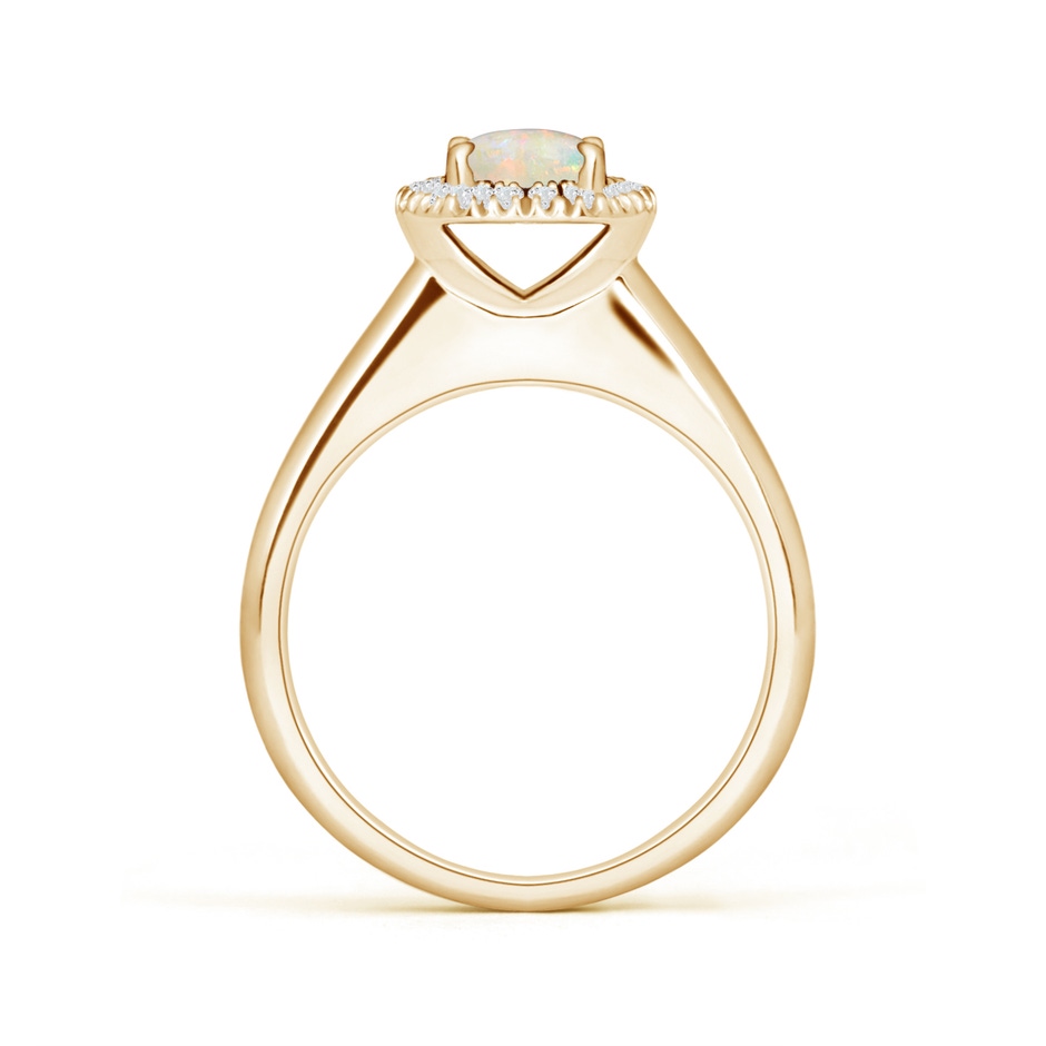 6mm AAAA Classic Round Opal and Diamond Halo Ring in Yellow Gold side 199