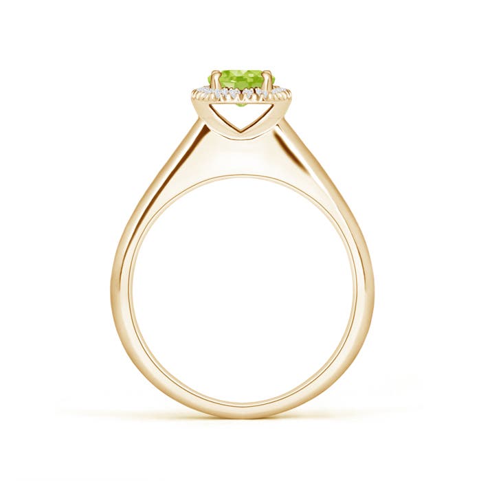 AA - Peridot / 0.63 CT / 14 KT Yellow Gold