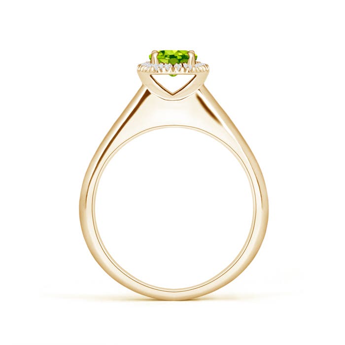 AAA - Peridot / 0.63 CT / 14 KT Yellow Gold