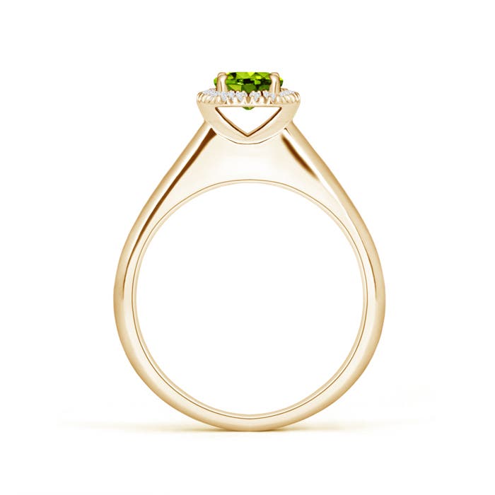 AAAA - Peridot / 0.63 CT / 14 KT Yellow Gold