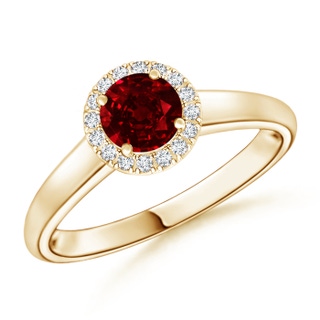 5mm AAAA Classic Round Ruby and Diamond Halo Ring in Yellow Gold
