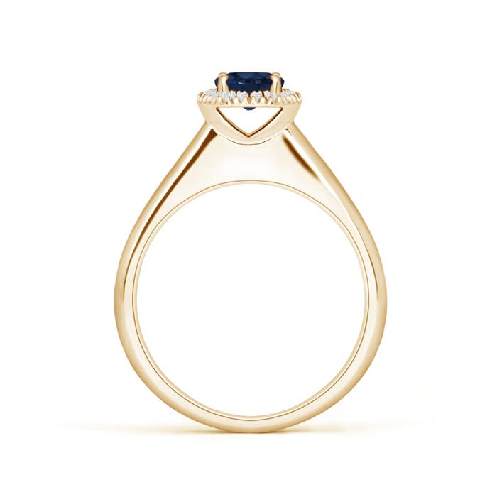 AA - Blue Sapphire / 0.68 CT / 14 KT Yellow Gold