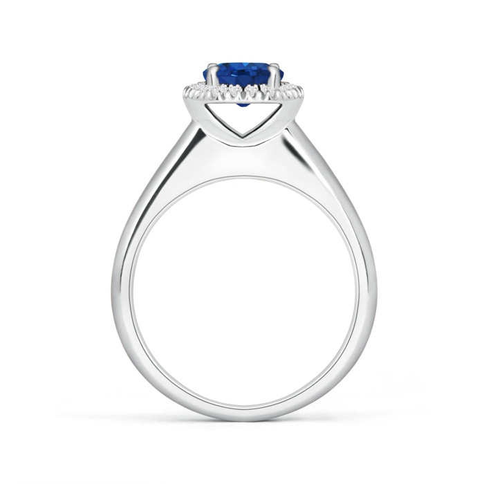 6mm AAA Classic Round Blue Sapphire and Diamond Halo Ring in P950 Platinum product image