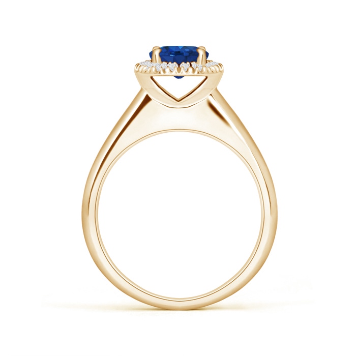 6mm AAA Classic Round Blue Sapphire and Diamond Halo Ring in Yellow Gold product image