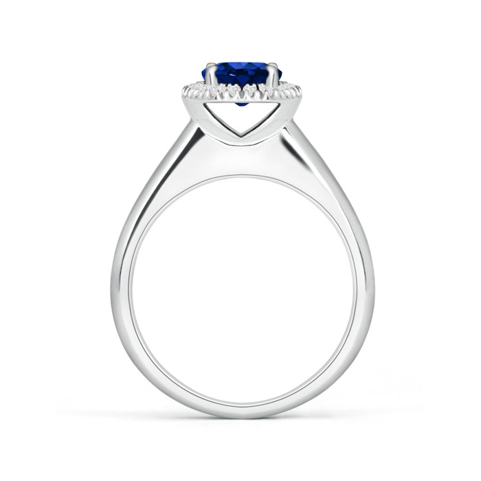 6mm AAAA Classic Round Blue Sapphire and Diamond Halo Ring in P950 Platinum product image