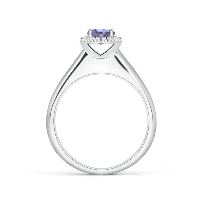 5mm AA Classic Round Tanzanite and Diamond Halo Ring in White Gold Product Image