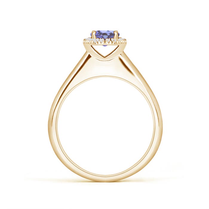 AA - Tanzanite / 0.58 CT / 14 KT Yellow Gold