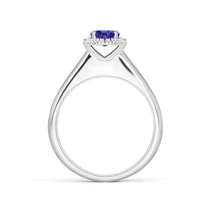 5mm AAAA Classic Round Tanzanite and Diamond Halo Ring in White Gold Product Image