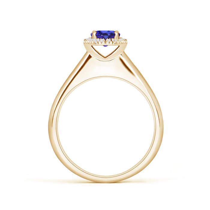 AAAA - Tanzanite / 0.58 CT / 14 KT Yellow Gold