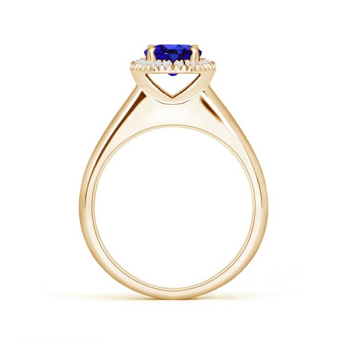 AAA - Tanzanite / 1 CT / 14 KT Yellow Gold