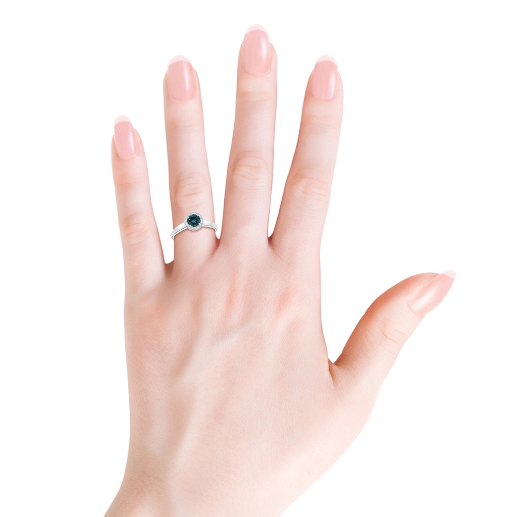 5mm AAA Classic Round Teal Montana Sapphire and Diamond Halo Ring in White Gold Body-Hand