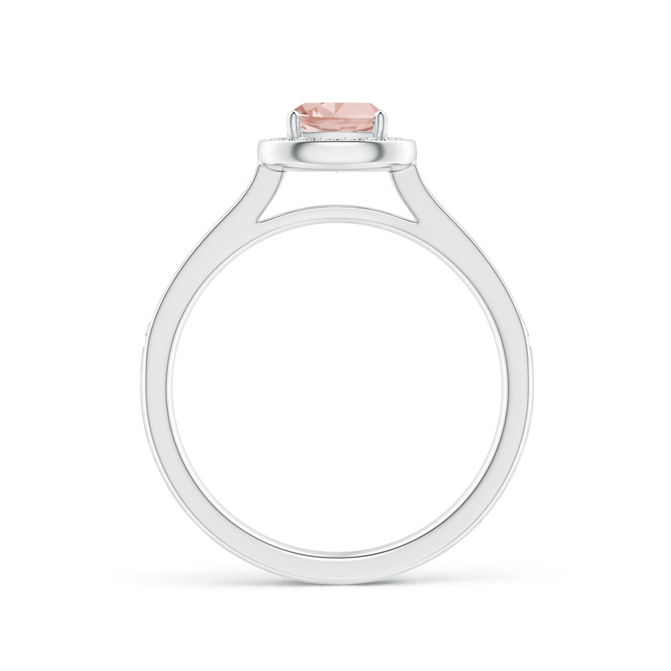 5mm AAAA Classic Cushion Morganite Ring with Diamond Halo in P950 Platinum side-1