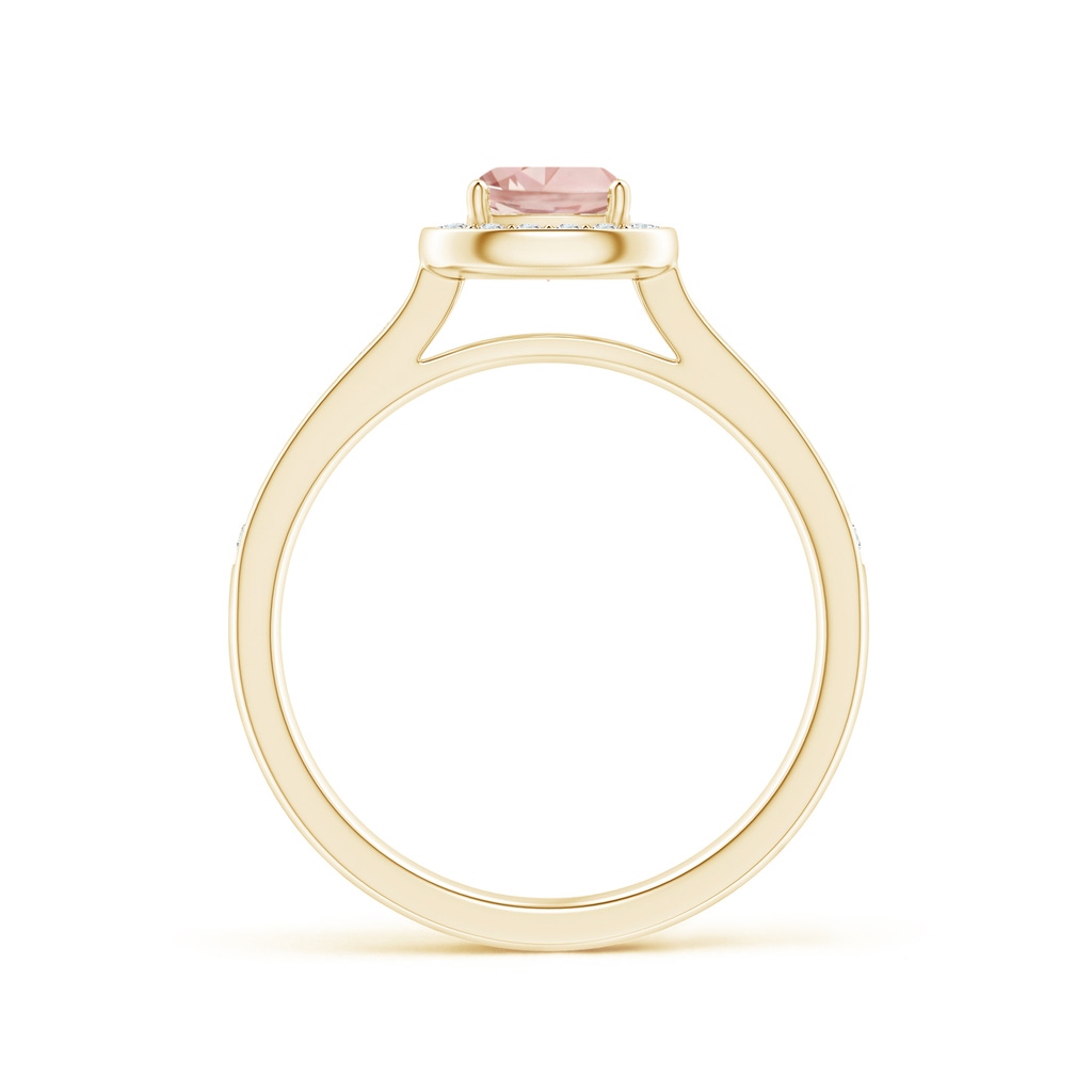 5mm AAAA Classic Cushion Morganite Ring with Diamond Halo in Yellow Gold - side_1
