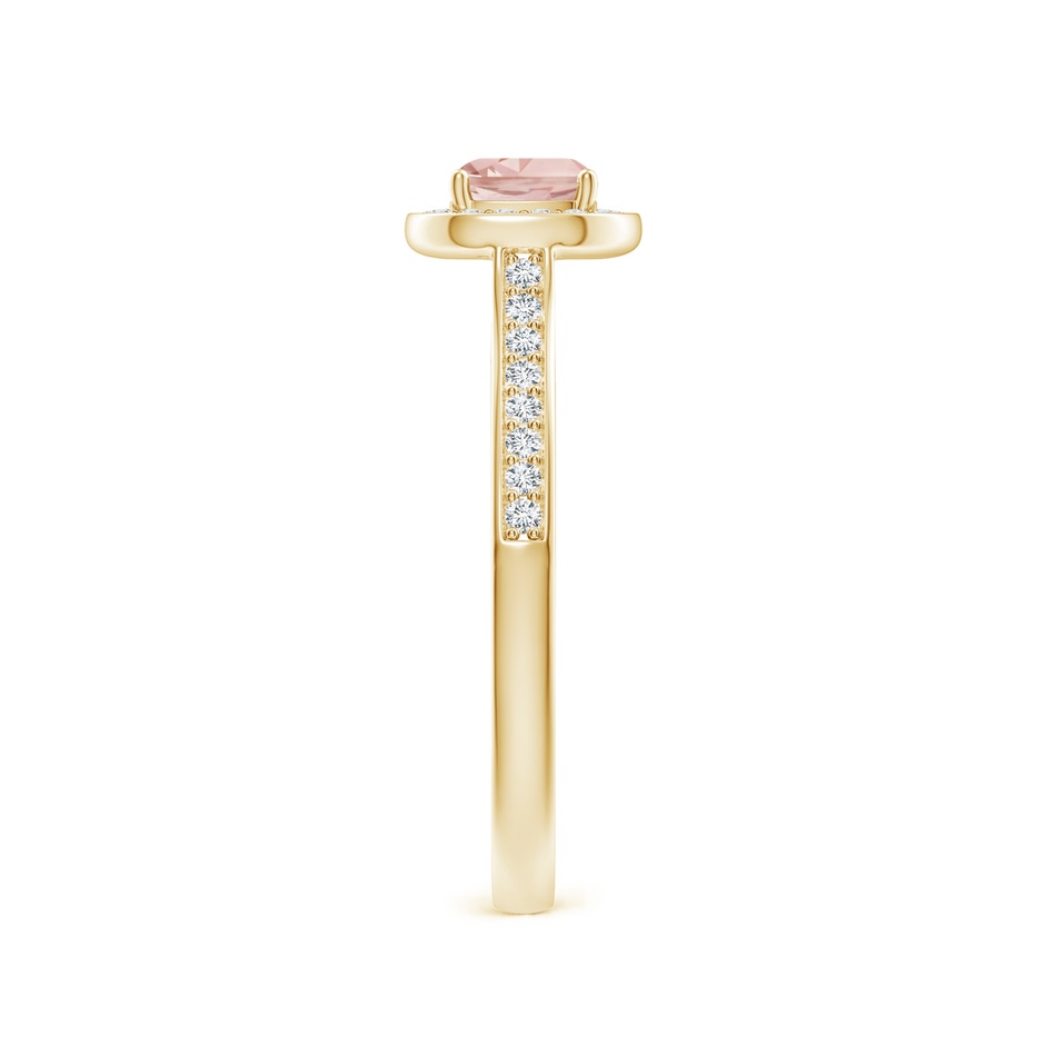 5mm AAAA Classic Cushion Morganite Ring with Diamond Halo in Yellow Gold side-2