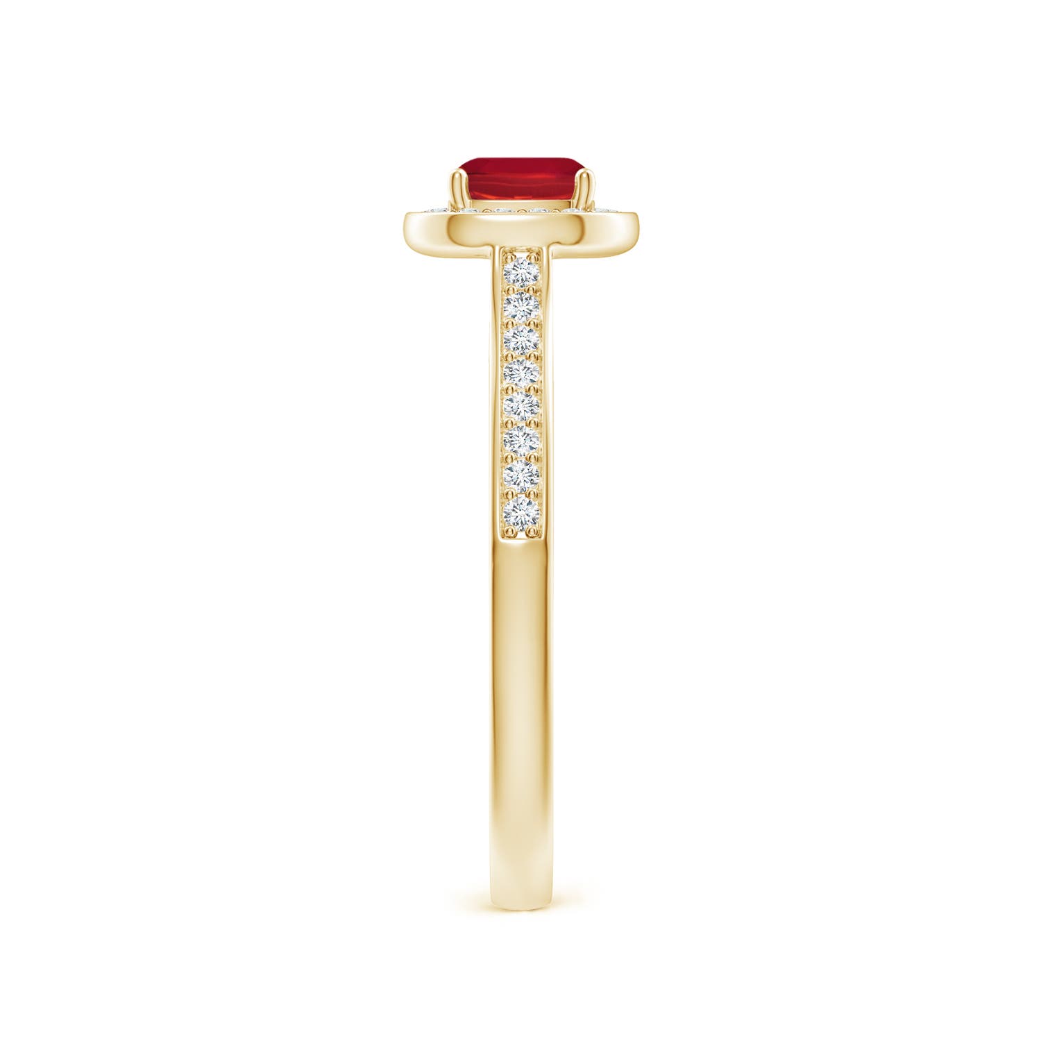 AA - Ruby / 0.81 CT / 14 KT Yellow Gold