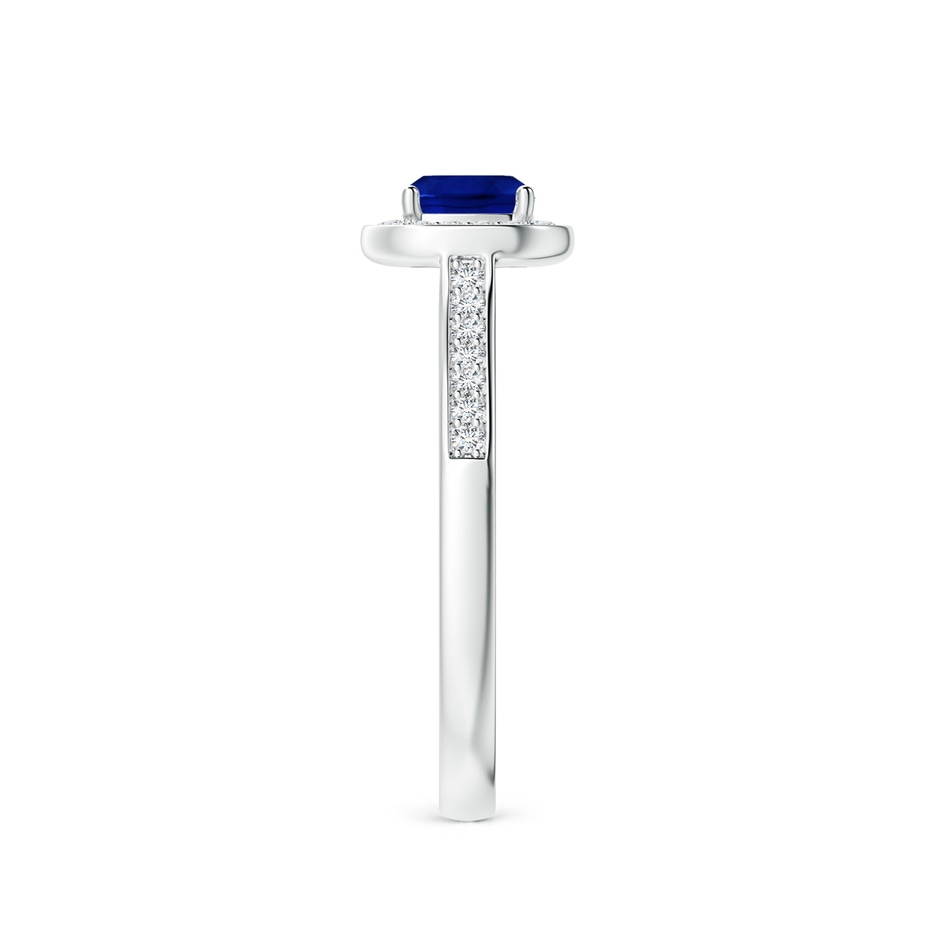 5mm AAAA Classic Cushion Blue Sapphire Ring with Diamond Halo in P950 Platinum side-2