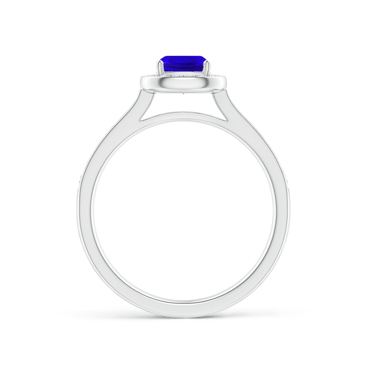 AAAA - Tanzanite / 1.01 CT / 14 KT White Gold