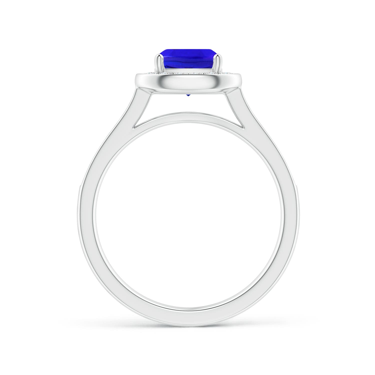 AAA - Tanzanite / 1.33 CT / 14 KT White Gold