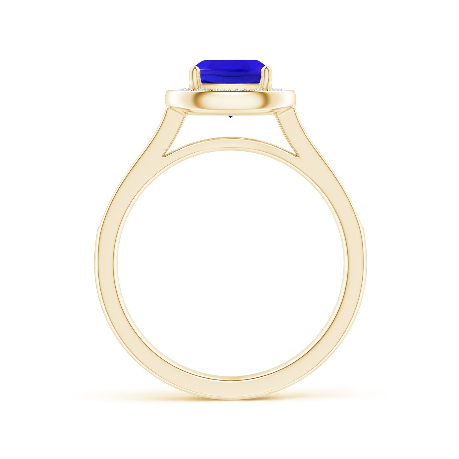 AAA - Tanzanite / 1.33 CT / 14 KT Yellow Gold