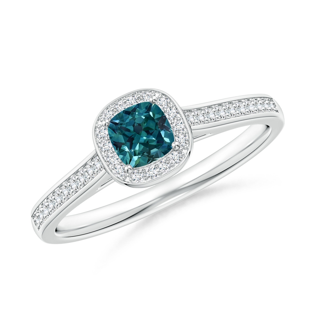 4mm AAA Classic Cushion Teal Montana Sapphire Ring with Diamond Halo in P950 Platinum