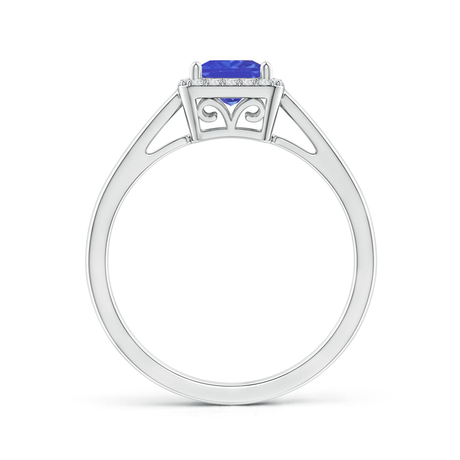 AAA - Tanzanite / 0.87 CT / 14 KT White Gold