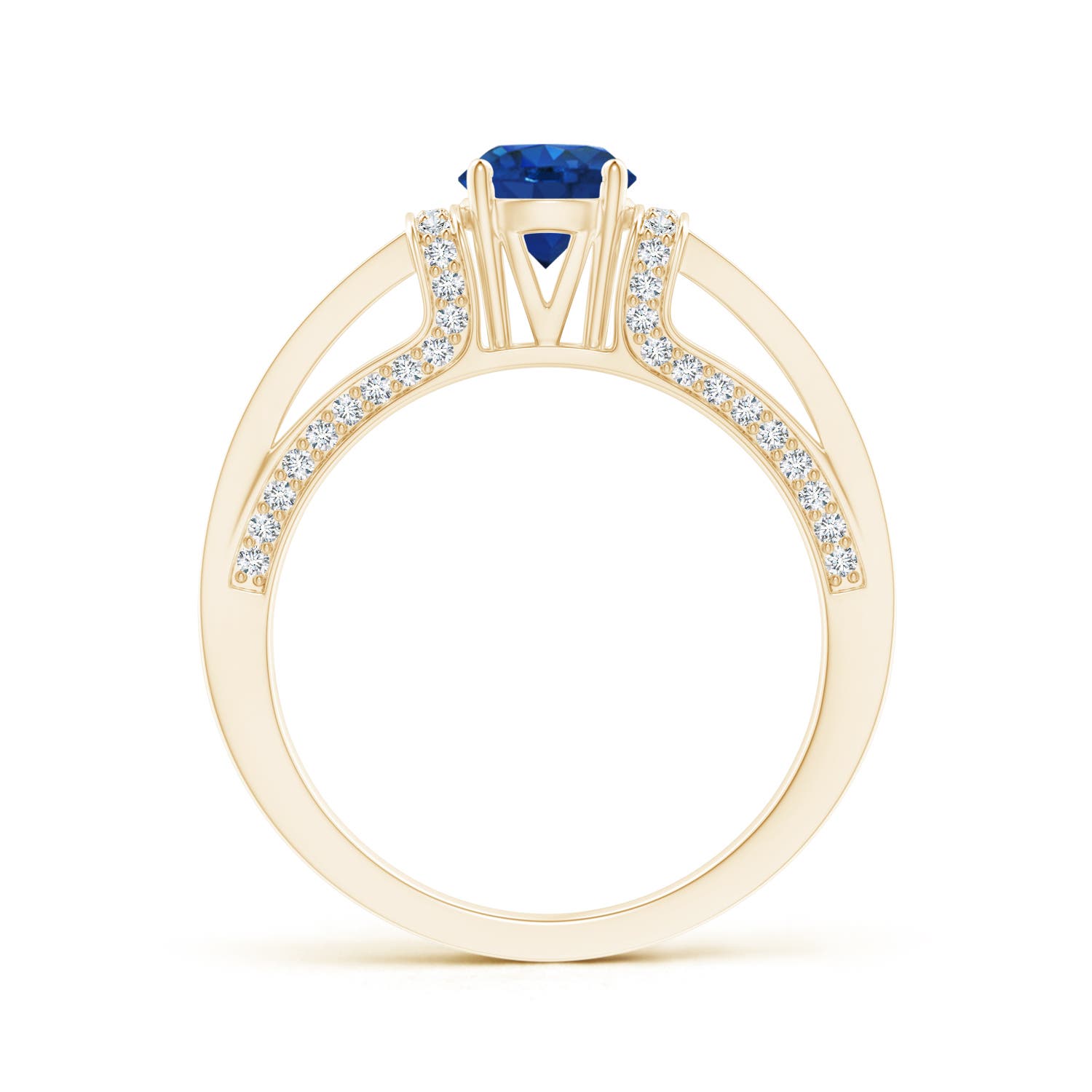 AAA - Blue Sapphire / 1.21 CT / 14 KT Yellow Gold