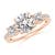 2 1/2 carats