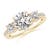 2 1/2 carats