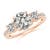 2 1/2 carats