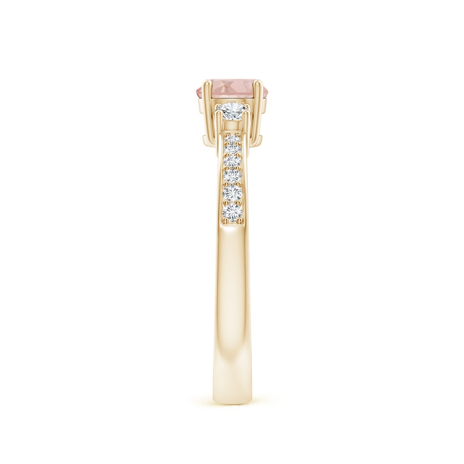 5mm AAA Classic Three Stone Round Morganite and Diamond Engagement Ring in 9K Yellow Gold side 299