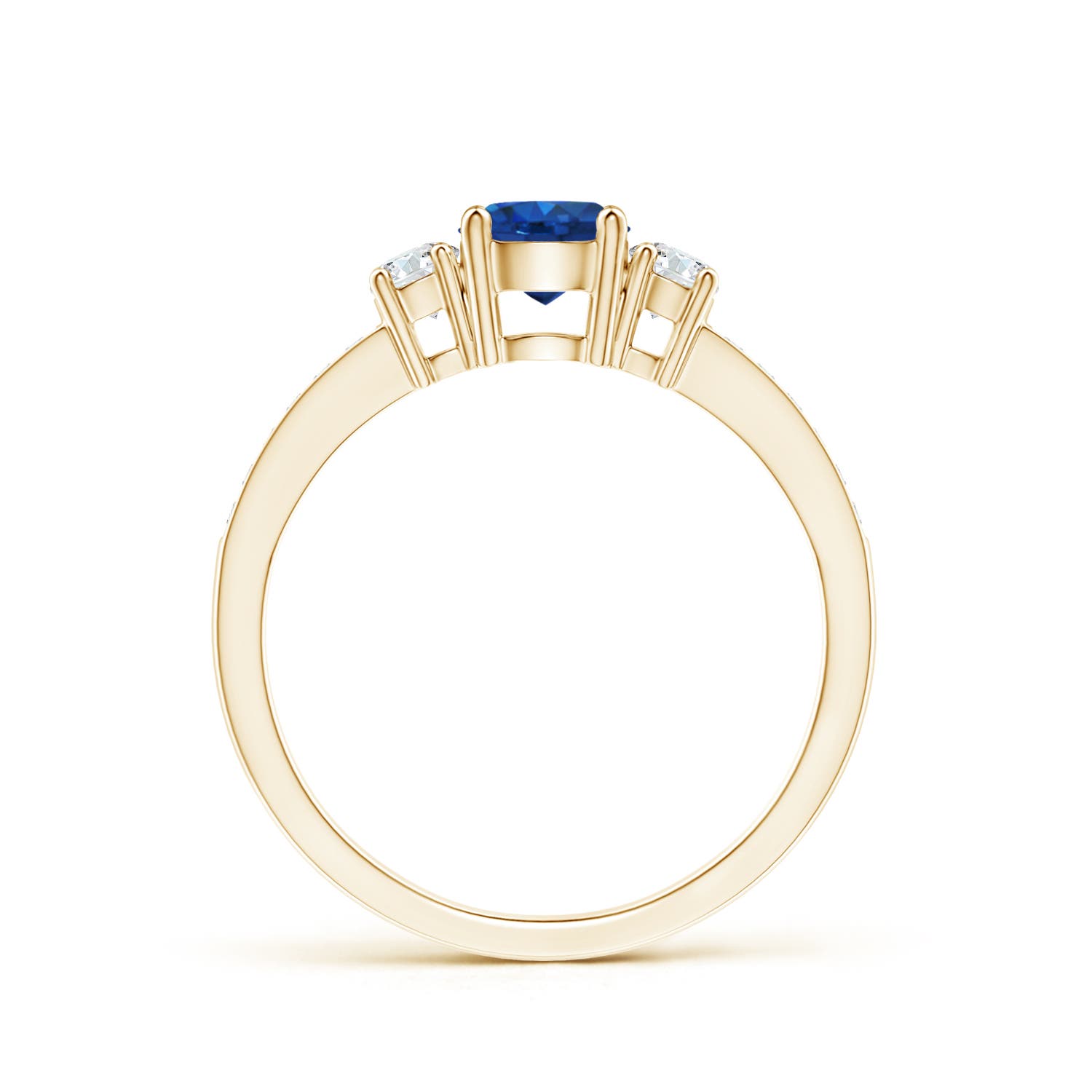 AAA - Blue Sapphire / 0.81 CT / 14 KT Yellow Gold