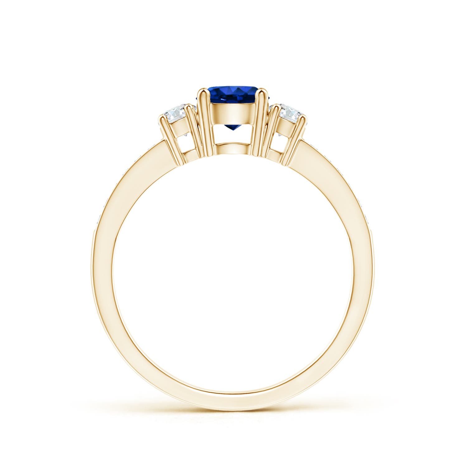 AAAA - Blue Sapphire / 0.81 CT / 14 KT Yellow Gold