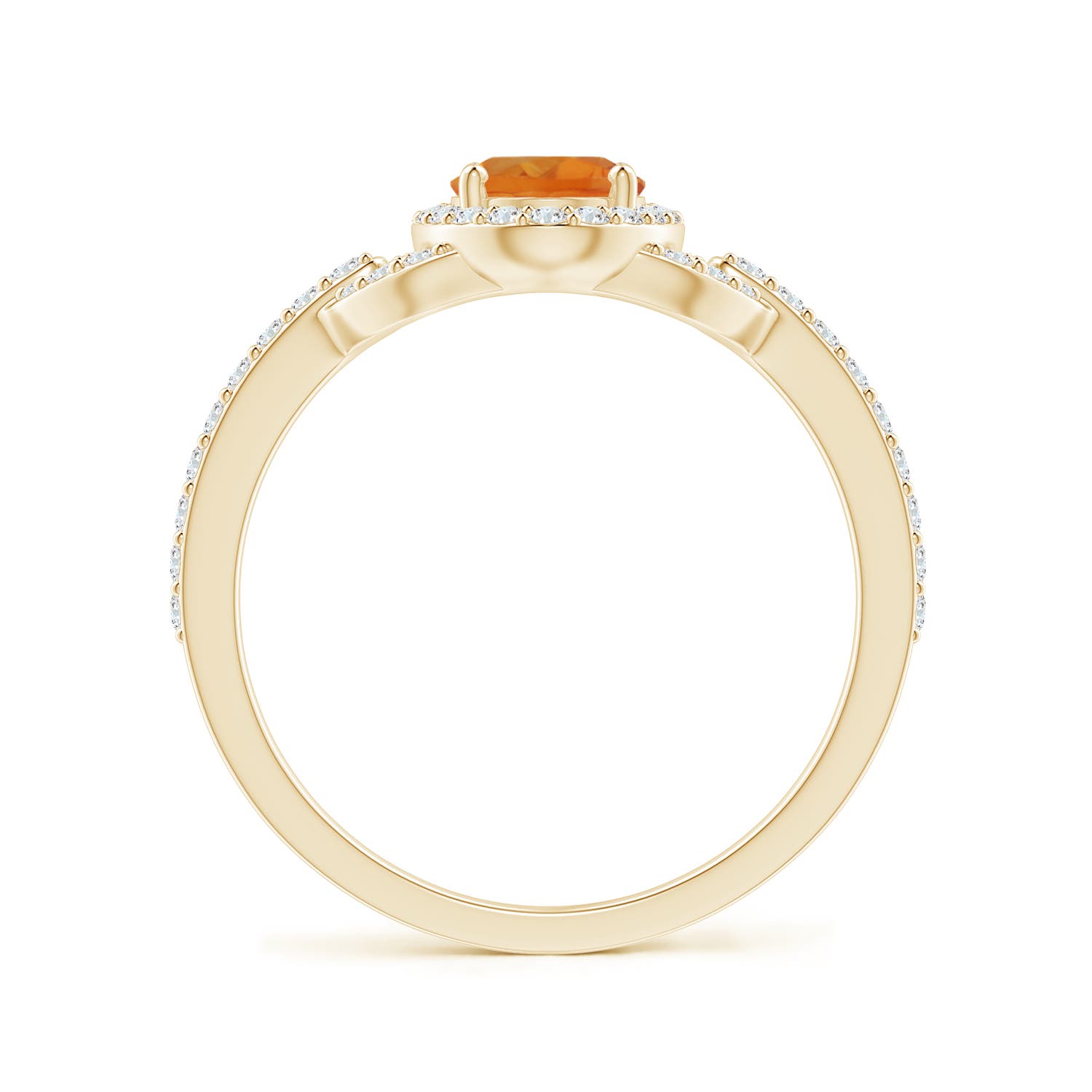 AAA - Citrine / 1.09 CT / 14 KT Yellow Gold