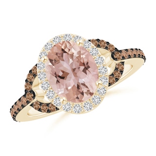 Oval AAA Morganite